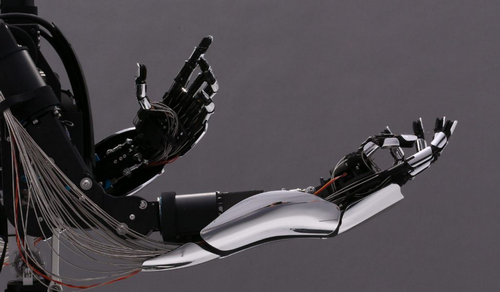 Cánh tay robot của hãng công nghệ Meltin. Ảnh: Meltin.
