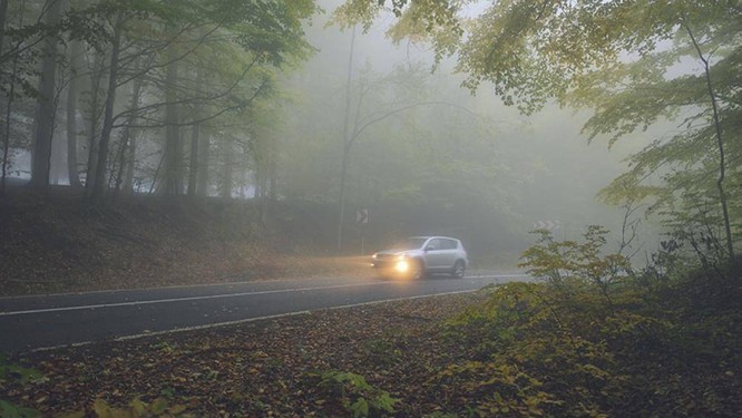 Lái xe gặp phải sương mù cần chú ý điều gì để đảm bảo an toàn? ảnh 2