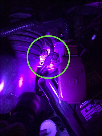 Albin sử dụng đèn tia cực tím soi trong khoang máy để phát hiện dấu vết của chuột. Vết nước tiểu phát sáng dưới ánh đèn. Ảnh: David Albin