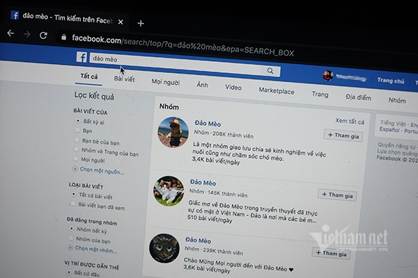 Nhóm Đảo mèo với hơn 2 triệu thành viên đã không còn có thể tìm kiếm được trên Facebook. Ảnh: Trọng Đạt