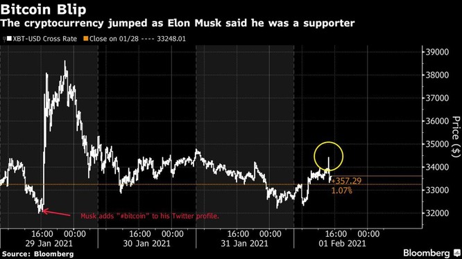 Elon Musk đã khiến Bitcoin và tiền mã hóa trở nên điên rồ ảnh 2