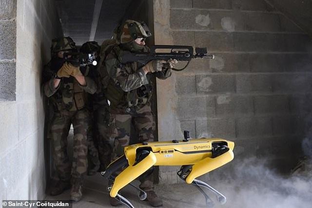 Quân đội Pháp ôm mộng số hóa chiến trường với "siêu khuyển robot" ảnh 1