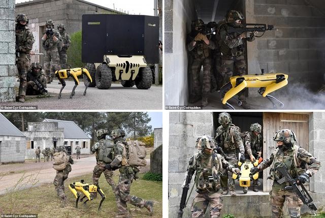 Quân đội Pháp ôm mộng số hóa chiến trường với "siêu khuyển robot" ảnh 2
