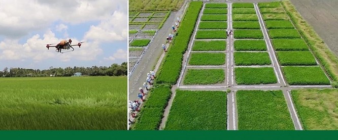 Hoàn thiện hệ sinh thái cho chuyển đổi số nông nghiệp Việt Nam ảnh 2