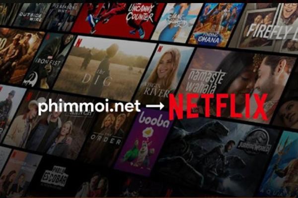 Netflix phủ nhận việc mua lại tên miền Phimmoi.net ảnh 1