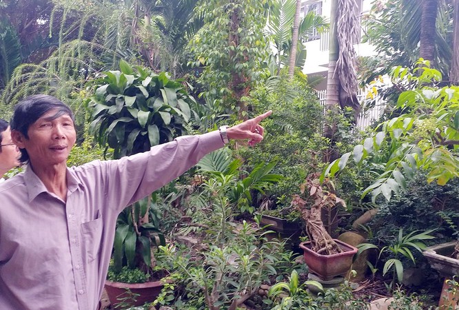 Nguyễn Văn Côi (60 tuổi, tổ trưởng tổ dân phố 34, phường Phước Mỹ, quận Sơn Trà, TP Đà Nẵng) bị UBND quận Sơn Trà ra quyết định thu hồi hơn 1.200m2 đất với giá đền bù chỉ 70.000 đồng/m2. 