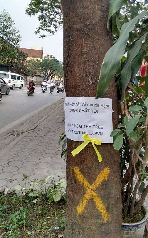 Hình ảnh được chia sẻ trên mạng xã hội Facebook phản đối việc chặt hạ cây xanh hàng loạt.