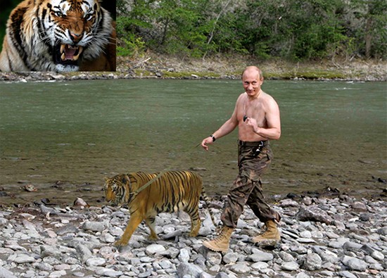 Putin “quyền lực nhất” thế giới và những khoảnh khắc sức mạnh ảnh 14