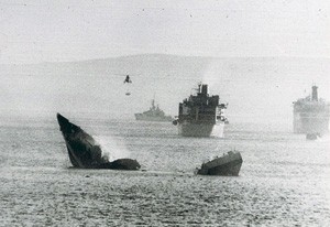 Chiến tranh biển đảo: Cuộc chiến Anh-Argentina 1982 ảnh 3