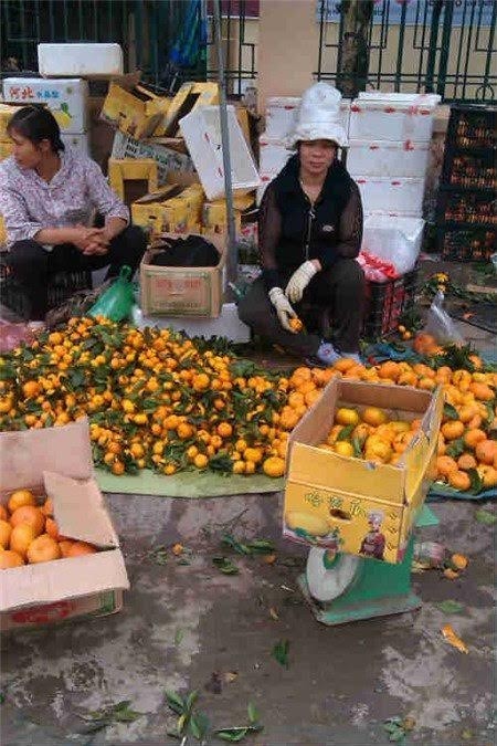 Tiết lộ rợn người của chủ buôn hoa quả Trung Quốc 15 năm ảnh 1