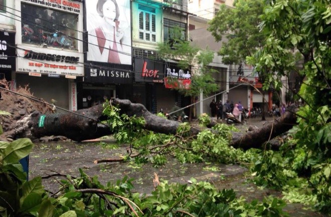 Hà Nội: Nhiều tuyến phố ngập nặng và mất điện vì mưa to, gió giật mạnh ảnh 15