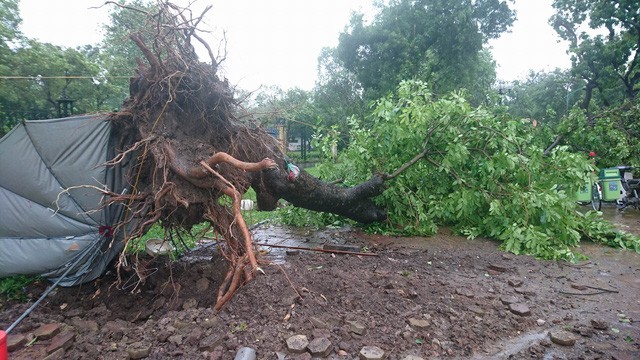 Hà Nội: Nhiều tuyến phố ngập nặng và mất điện vì mưa to, gió giật mạnh ảnh 32