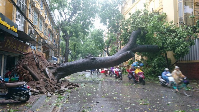 Hà Nội: Nhiều tuyến phố ngập nặng và mất điện vì mưa to, gió giật mạnh ảnh 27