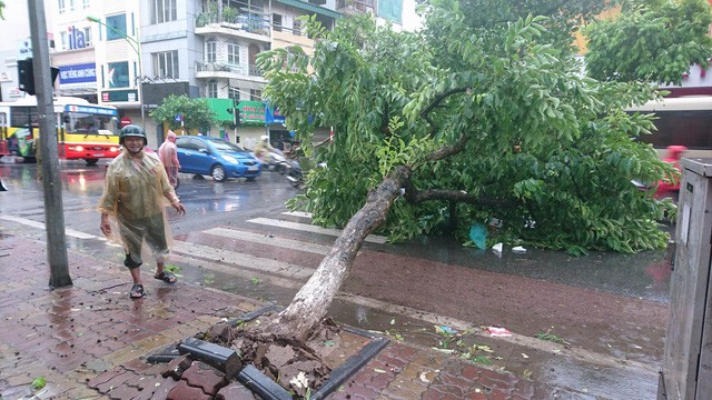 Hà Nội: Nhiều tuyến phố ngập nặng và mất điện vì mưa to, gió giật mạnh ảnh 28