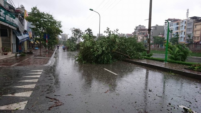 Hà Nội: Nhiều tuyến phố ngập nặng và mất điện vì mưa to, gió giật mạnh ảnh 39