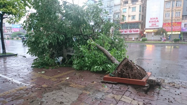 Hà Nội: Nhiều tuyến phố ngập nặng và mất điện vì mưa to, gió giật mạnh ảnh 36