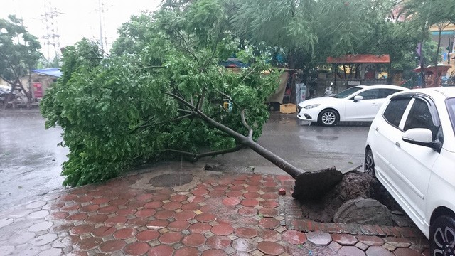 Hà Nội: Nhiều tuyến phố ngập nặng và mất điện vì mưa to, gió giật mạnh ảnh 38