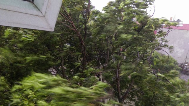 Hà Nội: Nhiều tuyến phố ngập nặng và mất điện vì mưa to, gió giật mạnh ảnh 44