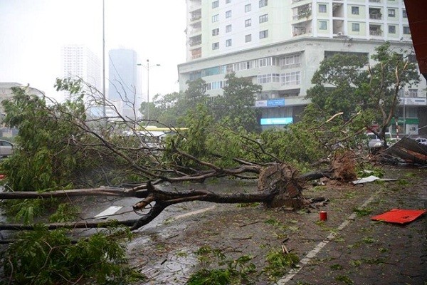 Hà Nội: Nhiều tuyến phố ngập nặng và mất điện vì mưa to, gió giật mạnh ảnh 1