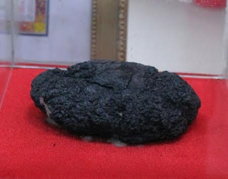 Nắm cơm cháy thành than của kíp xe tăng bất tử 377 trận Đắc Tô ảnh 5