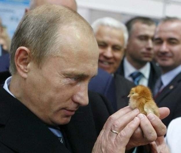 V.Putin - chỉ là người bình thường ảnh 20
