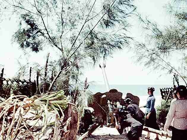 Bóng hồng Việt Nam - trên cả anh hùng - (phần 2) ảnh 12