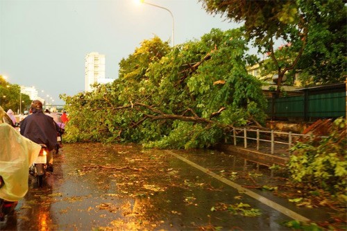 Một người chết, 3 bị thương vì dông lớn tại Hà Nội ảnh 3