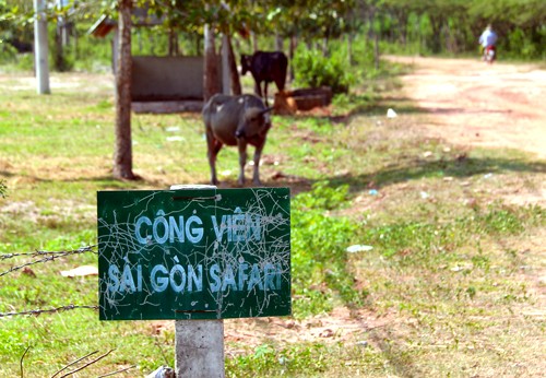 Dự án công viên lớn nhất Việt Nam để cỏ mọc hoang ảnh 2