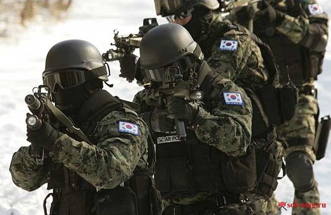 Những lực lượng uy mãnh của hải quân Hàn Quốc ảnh 8