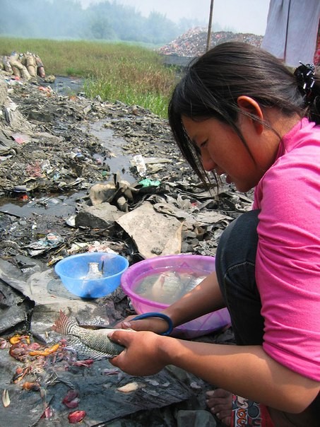 Chùm ảnh thảm họa môi trường khủng khiếp ở Trung Quốc ảnh 40