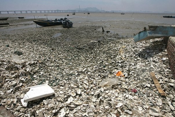 Chùm ảnh thảm họa môi trường khủng khiếp ở Trung Quốc ảnh 44