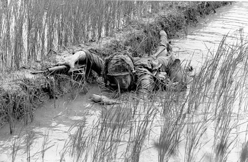 Cuộc chiến tranh Việt Nam qua ảnh của Henry Hyuet ảnh 11