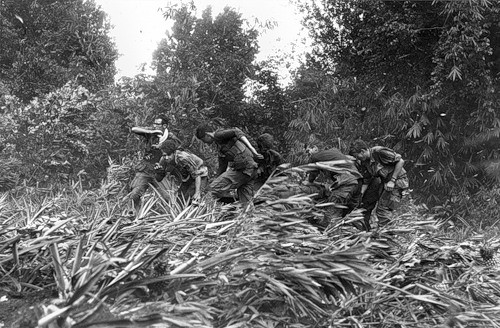 Cuộc chiến tranh Việt Nam qua ảnh của Henry Hyuet ảnh 46