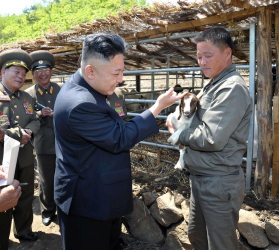 Triều Tiên lệnh cho binh sỹ bước vào trạng thái chiến tranh ảnh 2