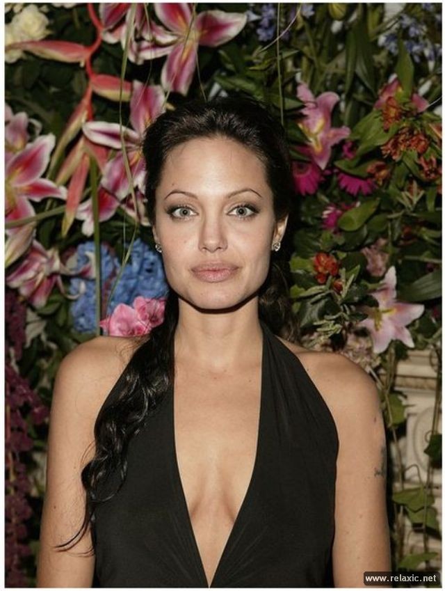 Sự thay đổi phong cách của Angelina Jolie ảnh 11