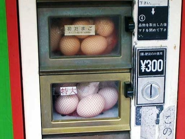 25 điều kỳ lạ đến điên rồ chỉ có thể được tìm thấy ở Nhật Bản ảnh 13