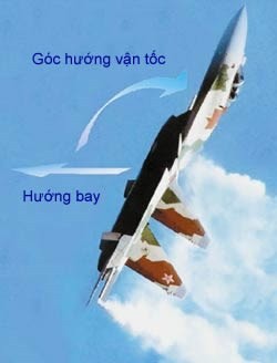 'Rắn hổ mang' SU -27 và chiến thuật siêu cơ động - ảnh 2