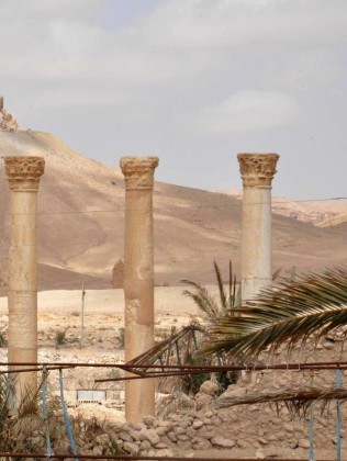 Cận cảnh thành phố Palmyra sau khi giải phóng (ảnh + video) ảnh 12
