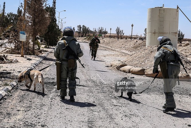 Lực lượng công binh Nga bắt đầu rà phá mìn và vũ khí nổ tại Palmyra ảnh 9