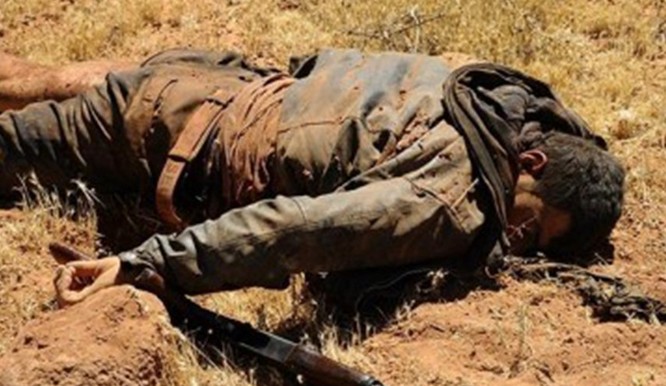 Quân đội Syria tiêu diệt nhiều thủ lĩnh Hồi giáo cực đoan trên Cao nguyên Golan ảnh 1