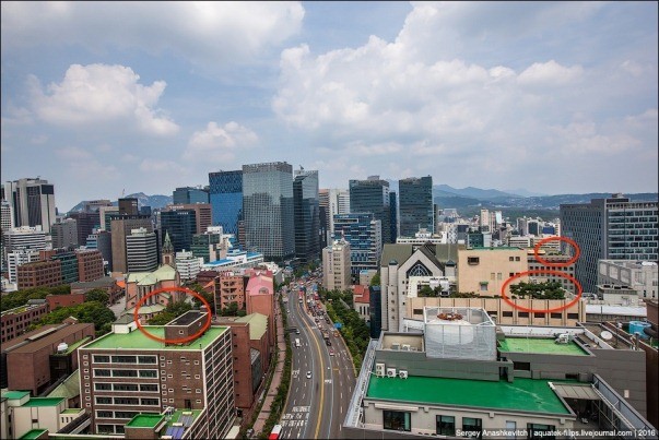 Thành phố Seoul Hàn Quốc đã trở thành thành phố xanh thế nào? ảnh 1