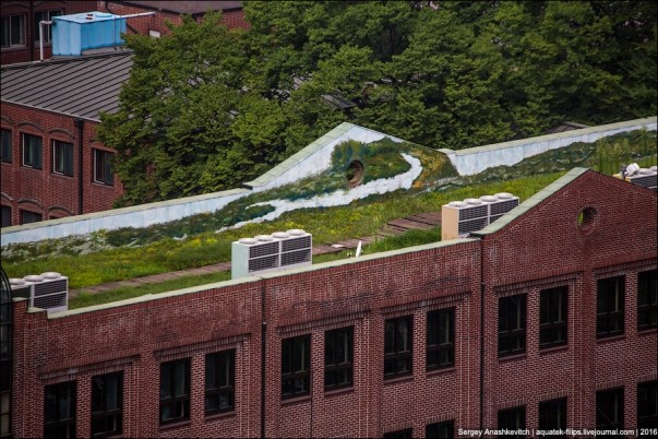Thành phố Seoul Hàn Quốc đã trở thành thành phố xanh thế nào? ảnh 6