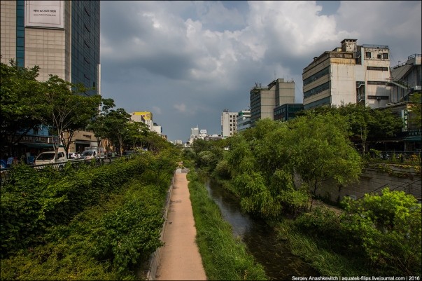 Thành phố Seoul Hàn Quốc đã trở thành thành phố xanh thế nào? ảnh 8