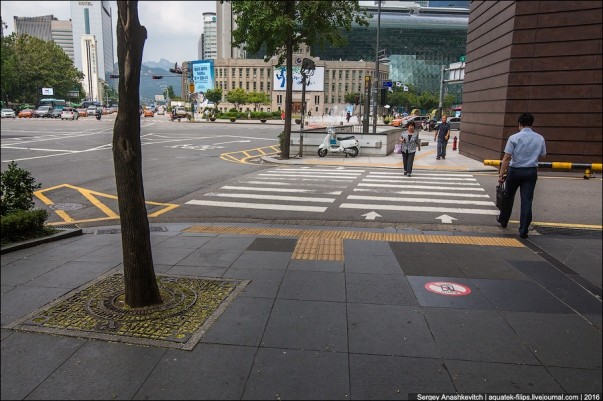 Thành phố Seoul Hàn Quốc đã trở thành thành phố xanh thế nào? ảnh 13