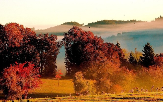 Tuyệt đẹp cảnh sắc mùa thu trên khắp nước Mỹ ảnh 40