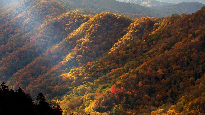 Tuyệt đẹp cảnh sắc mùa thu trên khắp nước Mỹ ảnh 44