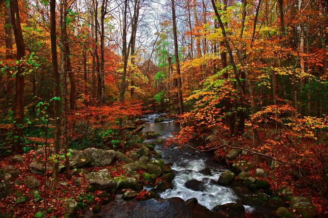 Tuyệt đẹp cảnh sắc mùa thu trên khắp nước Mỹ ảnh 45