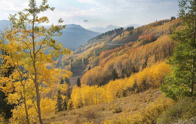 Tuyệt đẹp cảnh sắc mùa thu trên khắp nước Mỹ ảnh 50