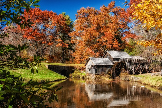 Tuyệt đẹp cảnh sắc mùa thu trên khắp nước Mỹ ảnh 10