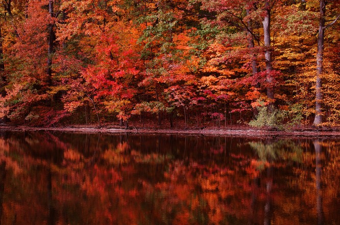 Tuyệt đẹp cảnh sắc mùa thu trên khắp nước Mỹ ảnh 17